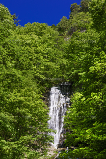 唐沢の滝
(c)YOSHITSUGU NISHIGAKI/SEBUN PHOTO