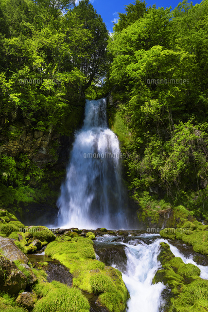 尾の島の滝
(c)YOSHITSUGU NISHIGAKI/SEBUN PHOTO