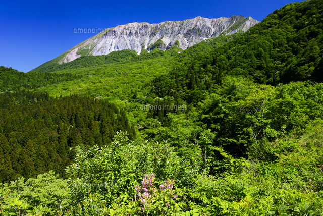 鍵掛峠より大山
(c)YOSHITSUGU NISHIGAKI/SEBUN PHOTO