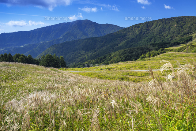 ススキのハチ高原より氷ノ山
(c)YOSHITSUGU NISHIGAKI/SEBUN PHOTO