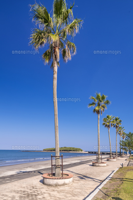 青島
(c)YOSHITSUGU NISHIGAKI/SEBUN PHOTO