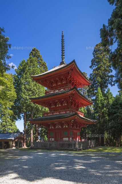 名草神社三重塔
(c)YOSHITSUGU NISHIGAKI/SEBUN PHOTO