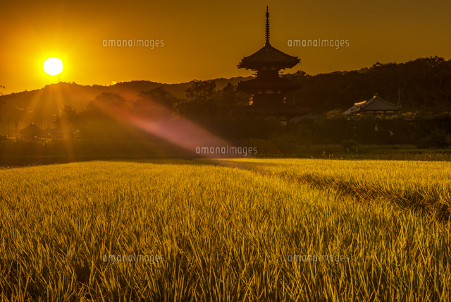 法起寺と夕日
(c)YOSHITSUGU NISHIGAKI/SEBUN PHOTO