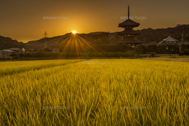 法起寺と夕日
(c)YOSHITSUGU NISHIGAKI/SEBUN PHOTO