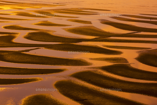 有明海の夕景
(c)YOSHITSUGU NISHIGAKI/SEBUN PHOTO