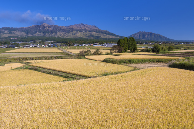 秋の田園と阿蘇山
(c)YOSHITSUGU NISHIGAKI/SEBUN PHOTO