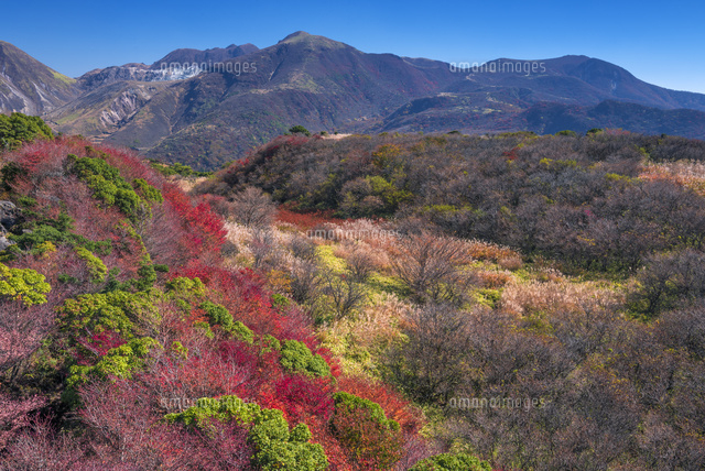 紅葉とくじゅう連山
(c)YOSHITSUGU NISHIGAKI/SEBUN PHOTO