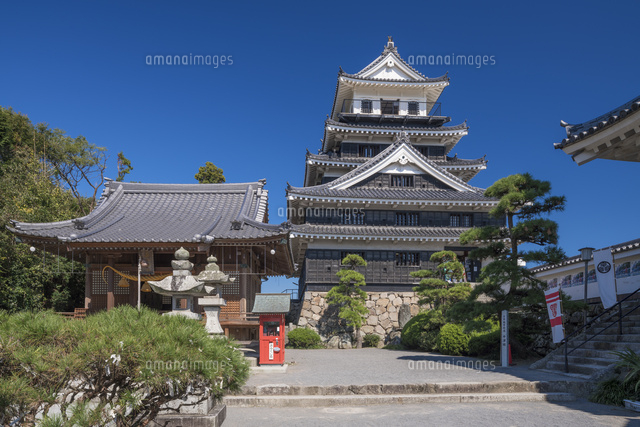 中津城
(c)YOSHITSUGU NISHIGAKI/SEBUN PHOTO
