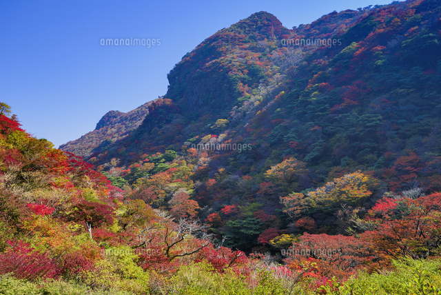 秋の雲仙岳
(c)YOSHITSUGU NISHIGAKI/SEBUN PHOTO