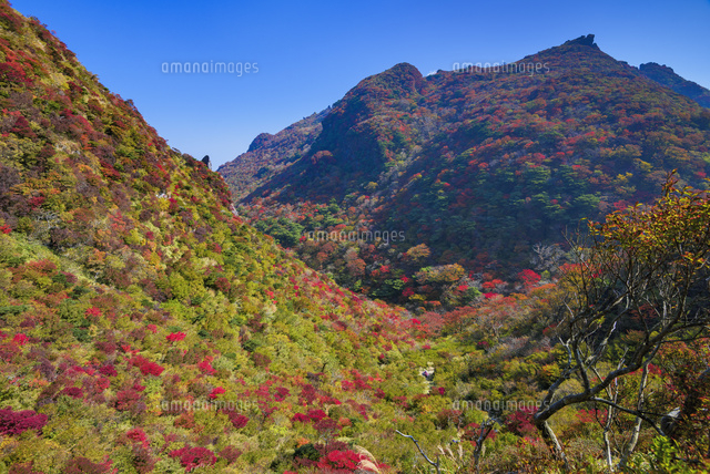 秋の雲仙岳
(c)YOSHITSUGU NISHIGAKI/SEBUN PHOTO