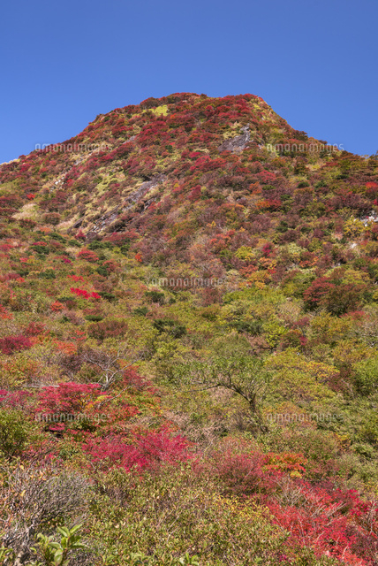 秋の国見岳
(c)YOSHITSUGU NISHIGAKI/SEBUN PHOTO