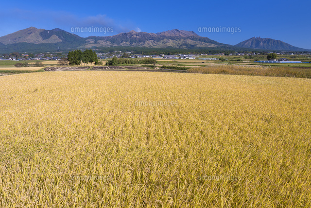 秋の田園と阿蘇山
(c)YOSHITSUGU NISHIGAKI/SEBUN PHOTO