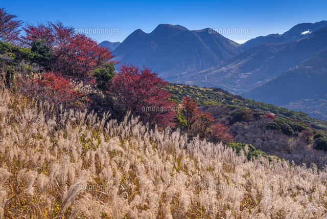 秋の牧ノ戸峠より三俣山
(c)YOSHITSUGU NISHIGAKI/SEBUN PHOTO