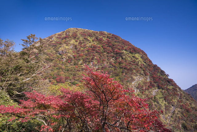 秋の国見岳
(c)YOSHITSUGU NISHIGAKI/SEBUN PHOTO