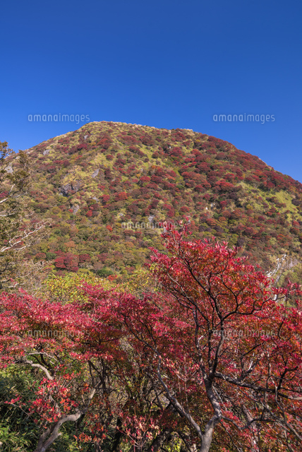秋の国見岳
(c)YOSHITSUGU NISHIGAKI/SEBUN PHOTO