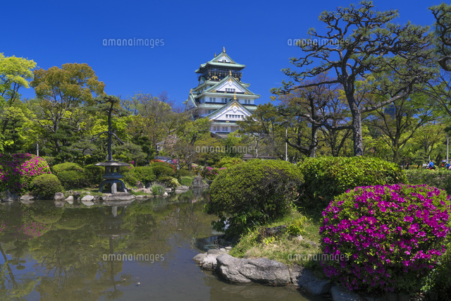 ツツジと大阪城
(c)YOSHITSUGU NISHIGAKI/SEBUN PHOTO