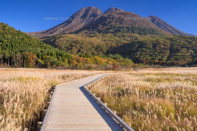 秋のタデ原湿原より三俣山
(c)YOSHITSUGU NISHIGAKI/SEBUN PHOTO