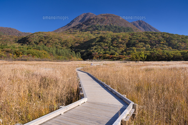 秋のタデ原湿原より三俣山
(c)YOSHITSUGU NISHIGAKI/SEBUN PHOTO
