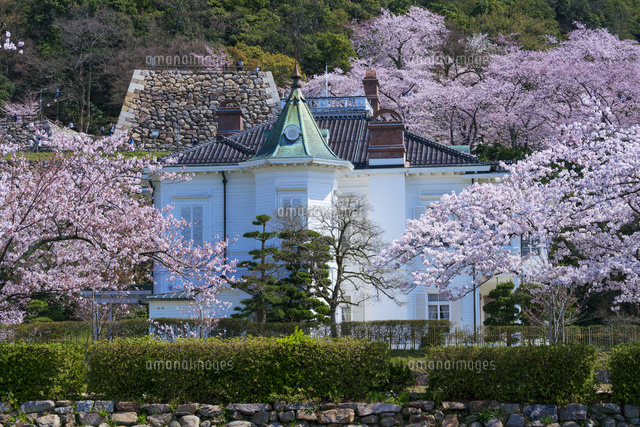 桜と仁風閣
(c)YOSHITSUGU NISHIGAKI/SEBUN PHOTO
