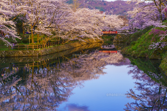 桜咲く鹿野城夕景
(c)YOSHITSUGU NISHIGAKI/SEBUN PHOTO