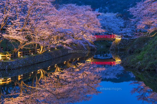 桜咲く鹿野城夜景
(c)YOSHITSUGU NISHIGAKI/SEBUN PHOTO