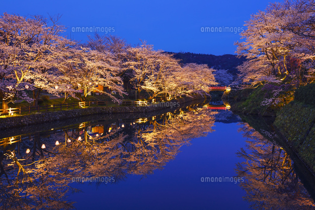 桜咲く鹿野城夜景
(c)YOSHITSUGU NISHIGAKI/SEBUN PHOTO