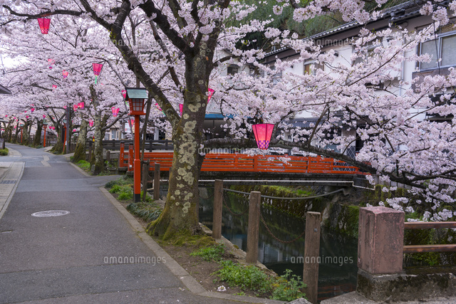 桜咲く城崎温泉
(c)YOSHITSUGU NISHIGAKI/SEBUN PHOTO