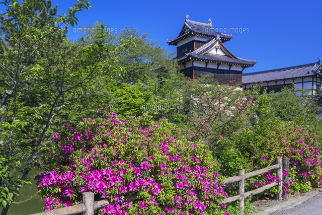 郡山城
(c)YOSHITSUGU NISHIGAKI/SEBUN PHOTO