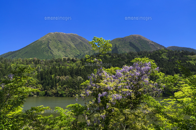 浮布池と三瓶山
(c)YOSHITSUGU NISHIGAKI/SEBUN PHOTO