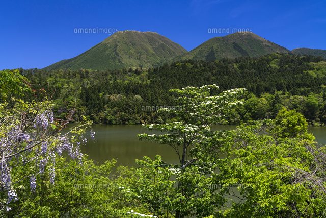 浮布池と三瓶山
(c)YOSHITSUGU NISHIGAKI/SEBUN PHOTO