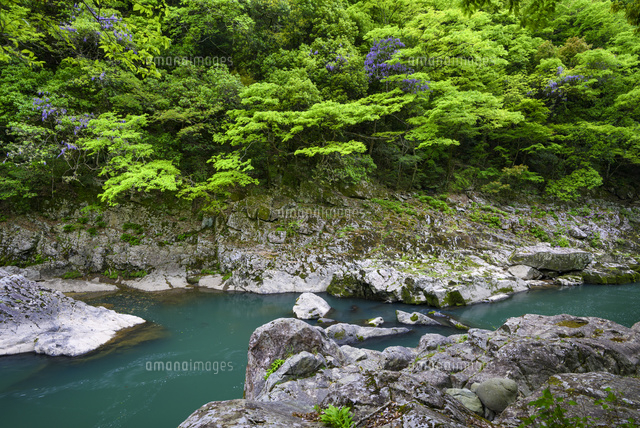 長門峡
(c)YOSHITSUGU NISHIGAKI/SEBUN PHOTO