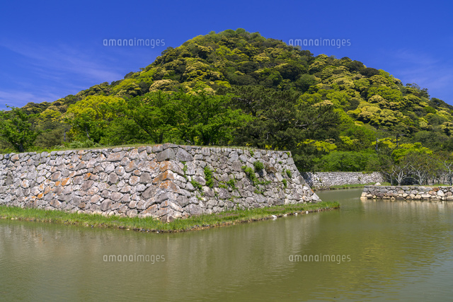 萩城跡と指月山
(c)YOSHITSUGU NISHIGAKI/SEBUN PHOTO