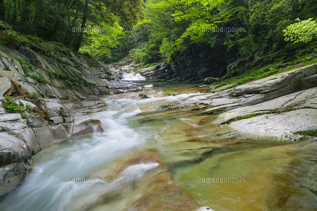新緑の面河渓
(c)YOSHITSUGU NISHIGAKI/SEBUN PHOTO