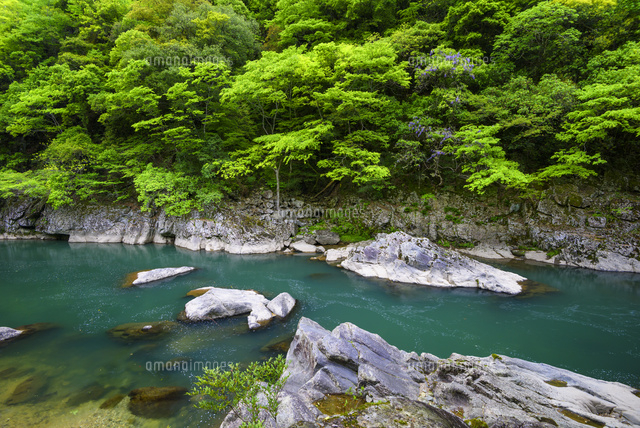 長門峡
(c)YOSHITSUGU NISHIGAKI/SEBUN PHOTO