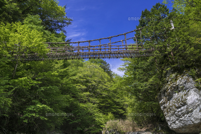 奥祖谷二重かずら橋
(c)YOSHITSUGU NISHIGAKI/SEBUN PHOTO