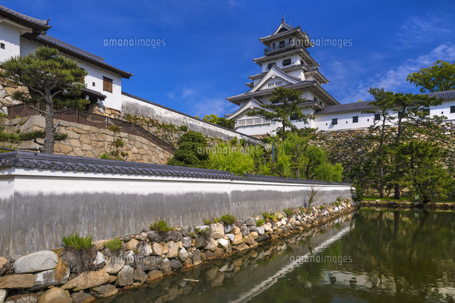 今治城
(c)YOSHITSUGU NISHIGAKI/SEBUN PHOTO
