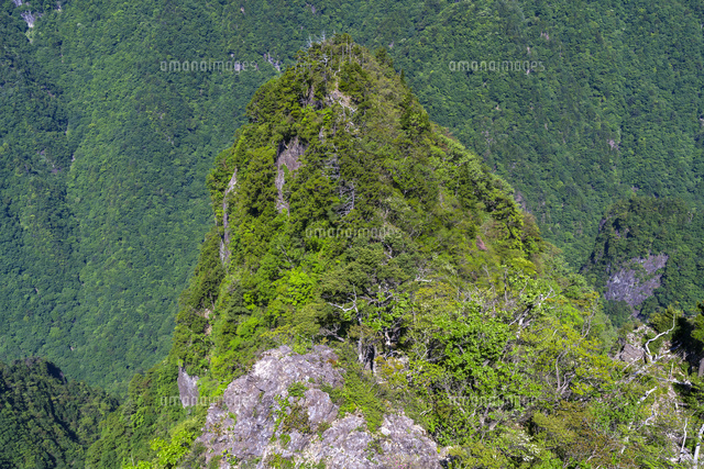 ‘åŽÖú°
(c)YOSHITSUGU NISHIGAKI/SEBUN PHOTO