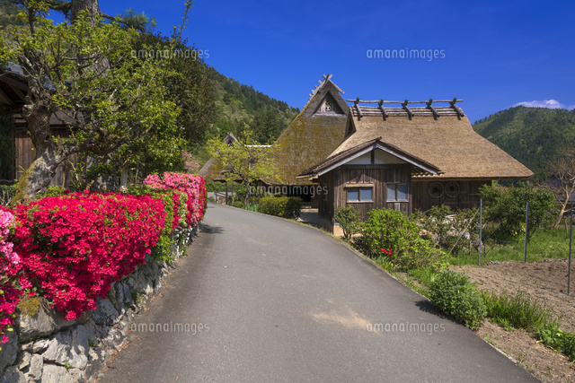 ツツジ咲く美山かやぶきの里
(c)YOSHITSUGU NISHIGAKI/SEBUN PHOTO