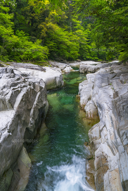 面河渓
(c)YOSHITSUGU NISHIGAKI/SEBUN PHOTO