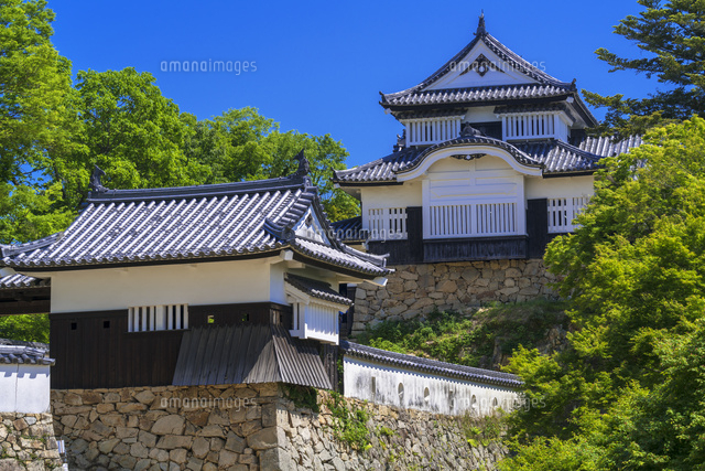 備中松山城
(c)YOSHITSUGU NISHIGAKI/SEBUN PHOTO