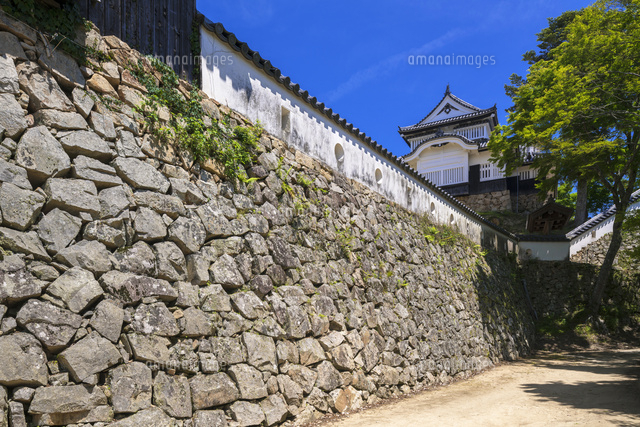 備中松山城
(c)YOSHITSUGU NISHIGAKI/SEBUN PHOTO