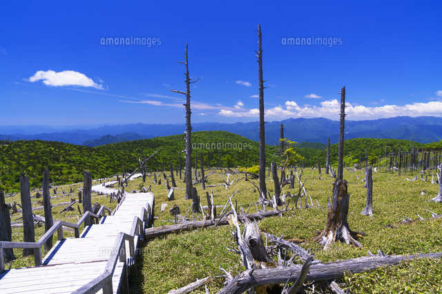 大台ヶ原
(c)YOSHITSUGU NISHIGAKI/SEBUN PHOTO