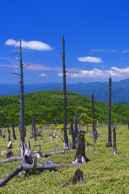 大台ヶ原
(c)YOSHITSUGU NISHIGAKI/SEBUN PHOTO