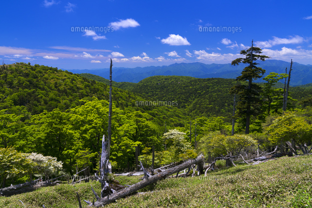 日出ヶ岳より大峰山遠望
(c)YOSHITSUGU NISHIGAKI/SEBUN PHOTO