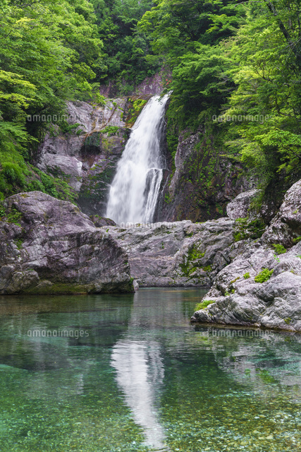 新緑の不動七重滝
(c)YOSHITSUGU NISHIGAKI/SEBUN PHOTO