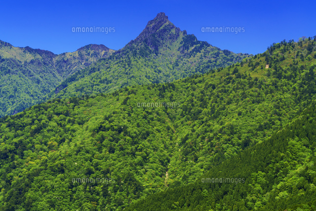 新緑の石鎚山
(c)YOSHITSUGU NISHIGAKI/SEBUN PHOTO