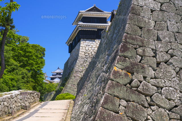 松山城
(c)YOSHITSUGU NISHIGAKI/SEBUN PHOTO