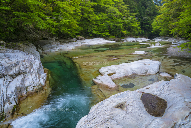 面河渓
(c)YOSHITSUGU NISHIGAKI/SEBUN PHOTO