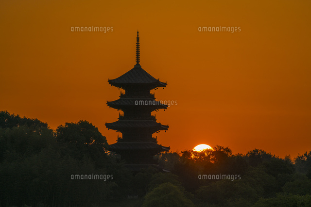備中国分寺と朝日
(c)YOSHITSUGU NISHIGAKI/SEBUN PHOTO
