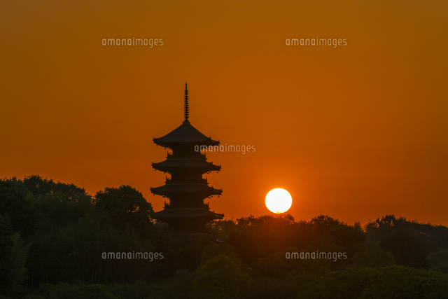 備中国分寺と朝日
(c)YOSHITSUGU NISHIGAKI/SEBUN PHOTO